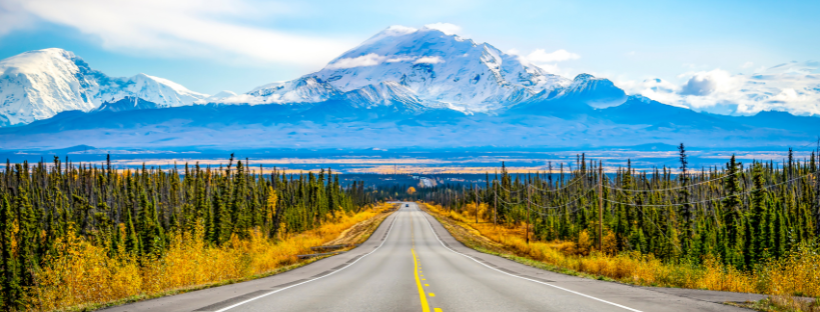 Elephant safari d'afrique